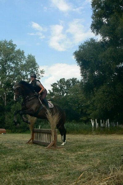 Vielseitigkeitslehrgang 2020